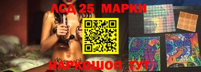 крисы Шахты