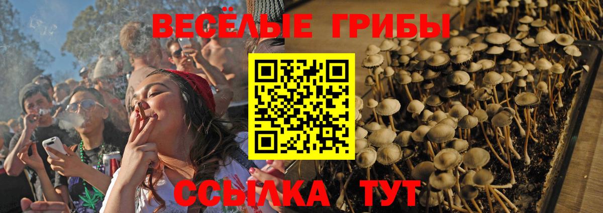 Псилоцибиновые грибы ЛСД Изобильный